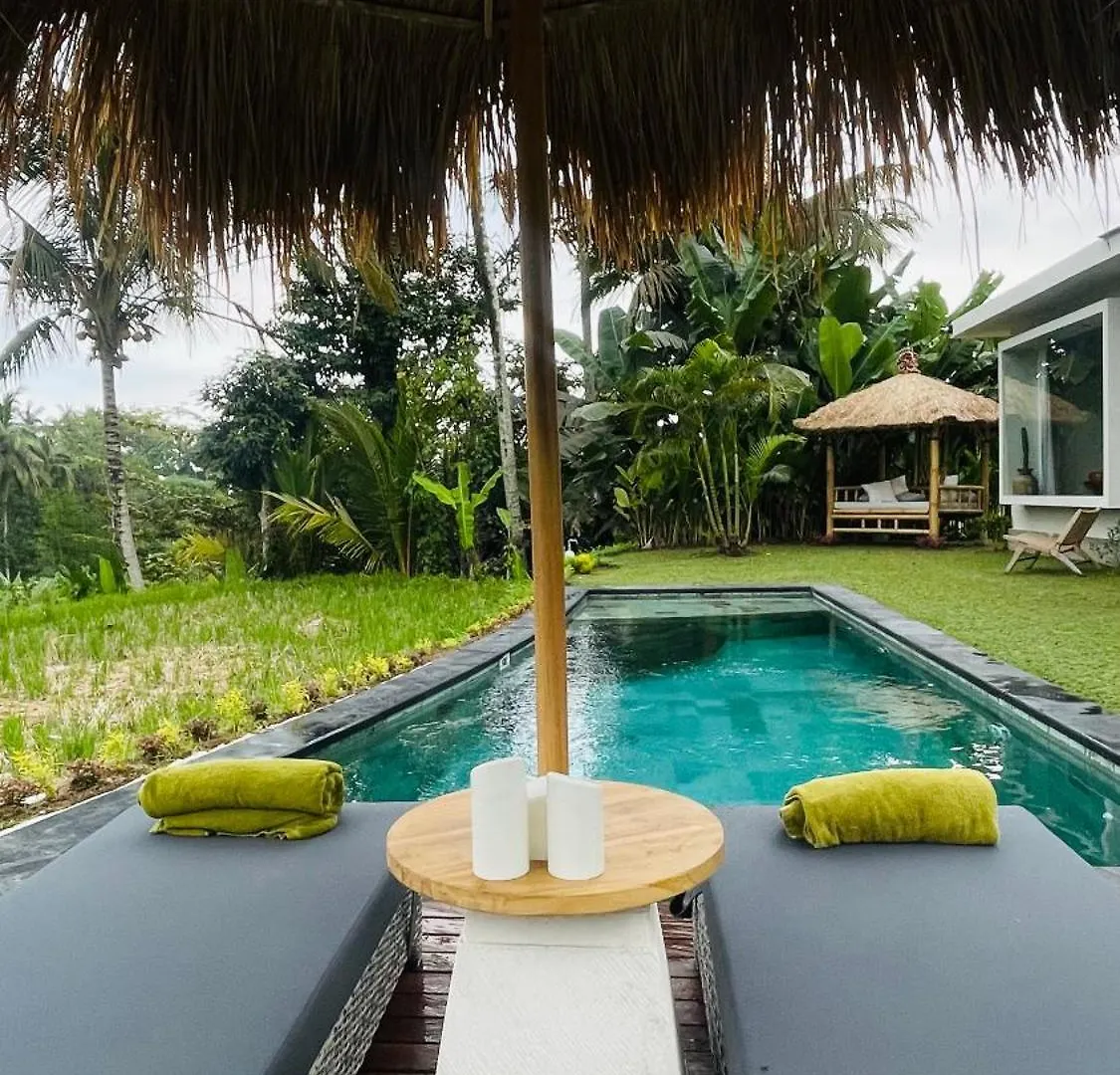 Jiwaku Di Bali Villa Ubud
